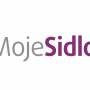 ms-logo-big.jpg